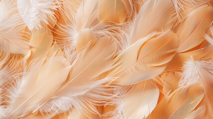 A breathtaking close-up image of soft beige feathers arranged in a seamless pattern, their velvety texture and warm tones evoking a sense of comfort and relaxation, like sinking into a plush pillow