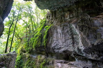 Mangapohue Natural Bridge - New Zealand