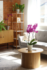 Interior of living room with sofa and orchid flowers