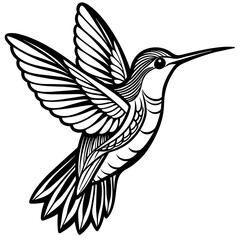 illustration of a bird