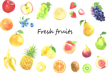 いろいろな果物のイラストセット