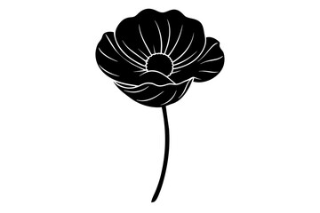 poppy flower vector illustration