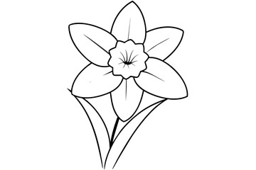 iris flower vector illustration