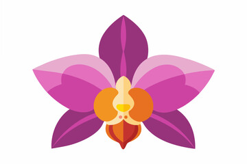 orchid flower vector illustration