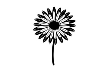 daisy flower vector illustration