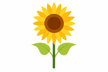 sunflower vector illustration