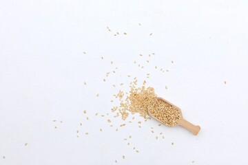 Sesame, scattered seeds, on a white background, free space, place for text, top view