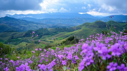 Purple Flowers with Mountainous Valley Backdrop