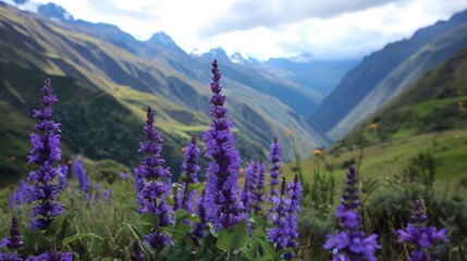 Purple Flowers with Mountainous Valley Backdrop