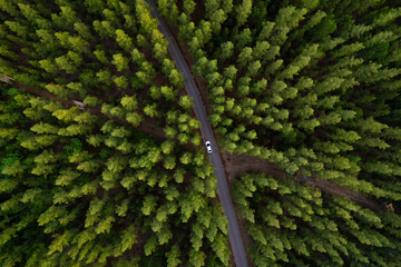 Aerial view of dark green pine forest road and white electric car Natural landscape and elevated...