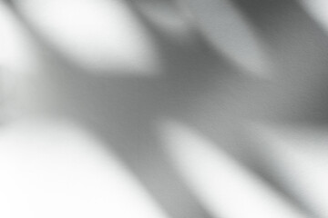 Wall interior background, studio and backdrops show products.with shadow from window color white and grey. background for text insertion and presentation product	