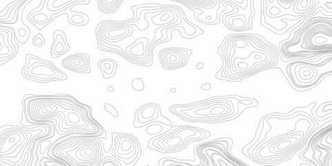 Topographic map patterns, topography line map. Seamless vector topographic map background. 