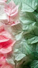 Pink and green leaves, look like the flag of Italy.