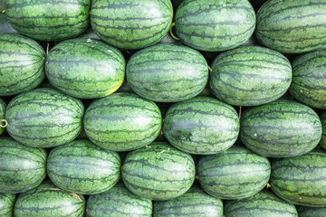Market Watermelon, Citrullus lanatus, in thailand