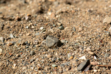 stone on the sand