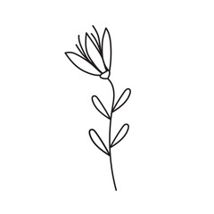 plant, vector, outline, flower, floral, sketch, botanical, illustration, line, herb, leaf, set, design, summer, nature, isolated, blossom, doodle, art, graphic, collection, garden, drawing, spring