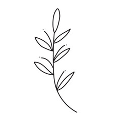 plant, vector, outline, flower, floral, sketch, botanical, illustration, line, herb, leaf, set, design, summer, nature, isolated, blossom, doodle, art, graphic, collection, garden, drawing, spring