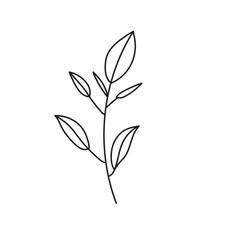 plant, vector, outline, flower, floral, sketch, botanical, illustration, line, herb, leaf, set, design, summer, nature, isolated, blossom, doodle, art, graphic, collection, garden, drawing, spring
