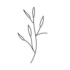 plant, vector, outline, flower, floral, sketch, botanical, illustration, line, herb, leaf, set, design, summer, nature, isolated, blossom, doodle, art, graphic, collection, garden, drawing, spring