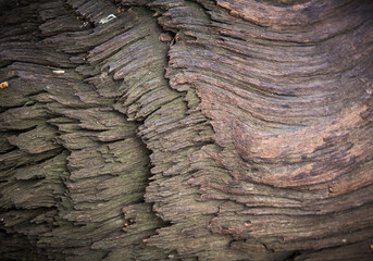 brown wooden texture wall pattern background texture.