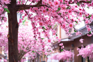 Artificial Sakura flowers for decorating japanese style
