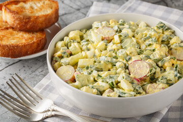 Salad with boiled eggs, radishes, green onions and cucumber served with toasted bread close-up in a...