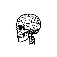 Brain svg, human brain svg, brain png, brain clipart, mental health svg, floral brain svg, brain silhouette, medical svg, flower brain svg, Brain SVG Bundle, Brain SVG, Brain PNG, Brain Clipart, Brain