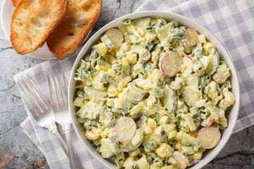 Egg Salad with radishes, green onions and cucumber dressed with mayonnaise close-up in a bowl on...