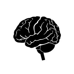 Brain svg, human brain svg, brain png, brain clipart, mental health svg, floral brain svg, brain silhouette, medical svg, flower brain svg, Brain SVG Bundle, Brain SVG, Brain PNG, Brain Clipart, Brain