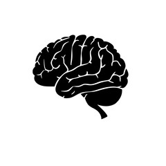 Brain svg, human brain svg, brain png, brain clipart, mental health svg, floral brain svg, brain silhouette, medical svg, flower brain svg, Brain SVG Bundle, Brain SVG, Brain PNG, Brain Clipart, Brain