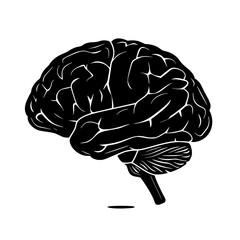 Brain svg, human brain svg, brain png, brain clipart, mental health svg, floral brain svg, brain silhouette, medical svg, flower brain svg, Brain SVG Bundle, Brain SVG, Brain PNG, Brain Clipart, Brain