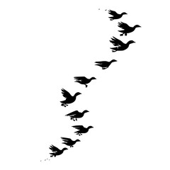 flying, bird, sky, birds, fly, silhouette, flock, flight, nature, blue, group, animal, vector, black, white, illustration, wing, formation, wildlife, pigeon, migration, geese, wings, freedom, wild, ic