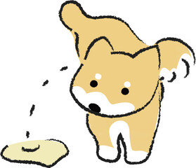 足を上げておしっこをする犬　柴犬