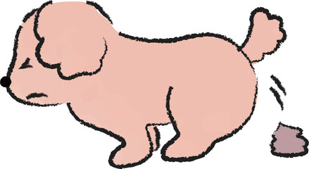 うんちをふんばり排泄する犬　プードル　