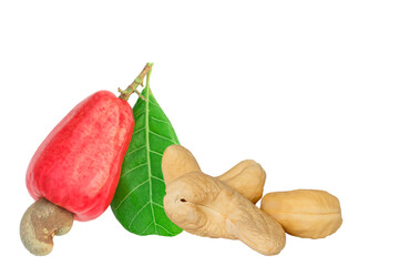 Cashew nuts raw  with ripe fruit on isolated a white background