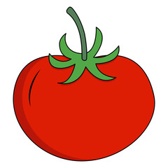 Vegetables Illustration