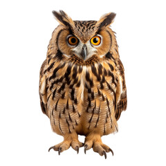 Fototapeta premium The image shows an owl with big yellow eyes, brown feathers, and sharp talons On transparent background