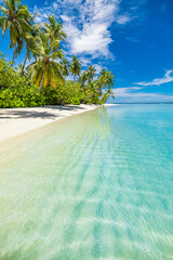 Paradise island beach. Tropical landscape of summer scene, sea waves. Sunny sand sky palm trees....