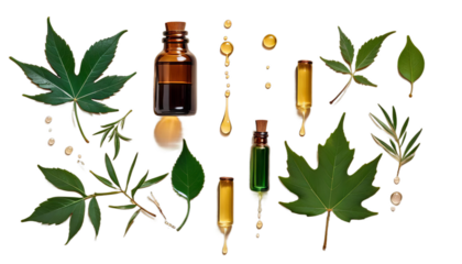bottle dripping oil leaf essential beige glass green nobody relaxation nature herbal flora floral health healthy natural medicine care medicals herb aromatic traditional organic skincare therapy