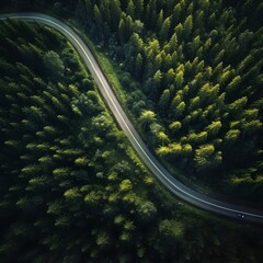 Top view mountain road in green forest. Generative AI.