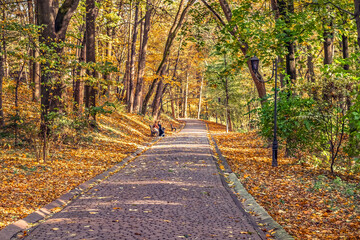 Road with paving slabs in Stryiskyi Park in Lviv on an autumn day, Ukraine. Lots of tall trees...