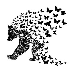 Bear with butterflies