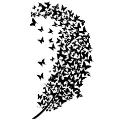 Boho Svg, Feathers Clipart, Feathers Cut File, Feathers Vector, Feathers png, Feathers Silhouette, Feather Earring, Feather, Feather SVG, Digital feather, Feather Clipart, Silhouette Feather, PNG Feat
