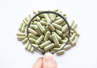 Dry herb Andrographis paniculata powder in capsule