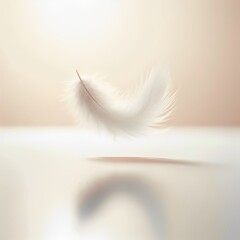 white feather on a background