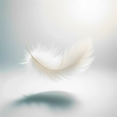 white feather on blue and white background