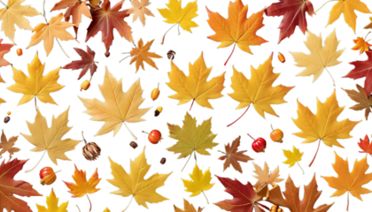 leaves background seasonal autumn falling maple banner foliage fall flying leaf wind sky november tree blue pattern gold close park border move bokeh texture frame nature forest beauty orange colours