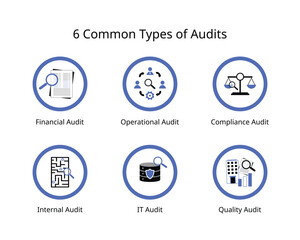 Fototapeta premium 6 common types of audits, financial audits, operational, compliance, internal, IT , quality audits