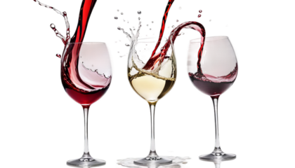 wine red concept tasting white glasses splashing goggles beverage testing splash move drink alcohol celebration glass celebrate food winery party bar crystal glassware dinner eatery life motion still