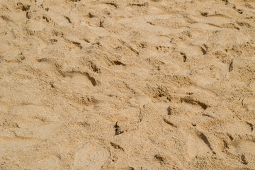 Beach sand full of footprints 